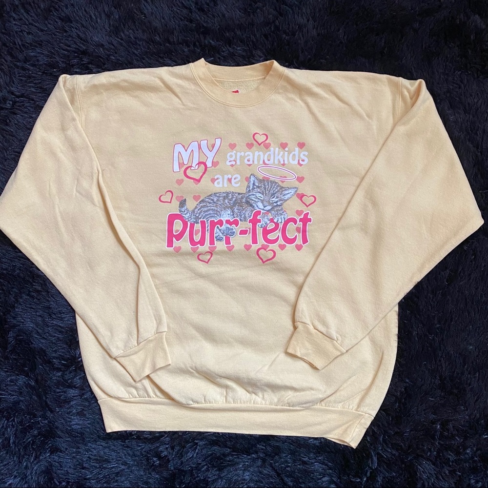 Women’s kitten sweater size large